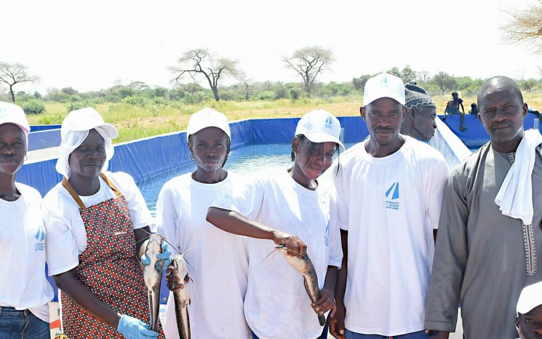 Inauguration de la ferme piscicole de Mérina Dakhar