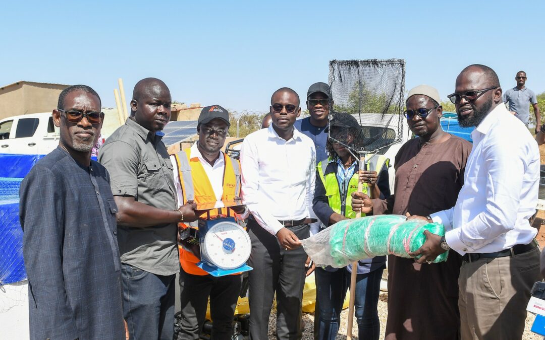 Eiffage Opérations Services s’engage pour une aquaculture durable au Sénégal.